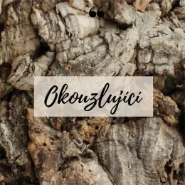 Proč korek? Okouzlující